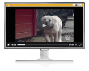 TruRotation® Ad/Concept Testing {Aha! Pro Feature}